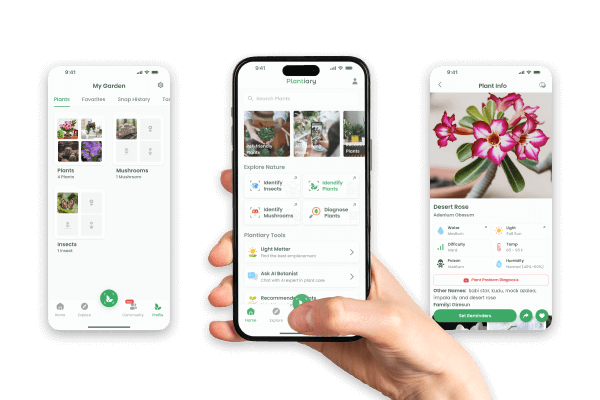 Plantiary App